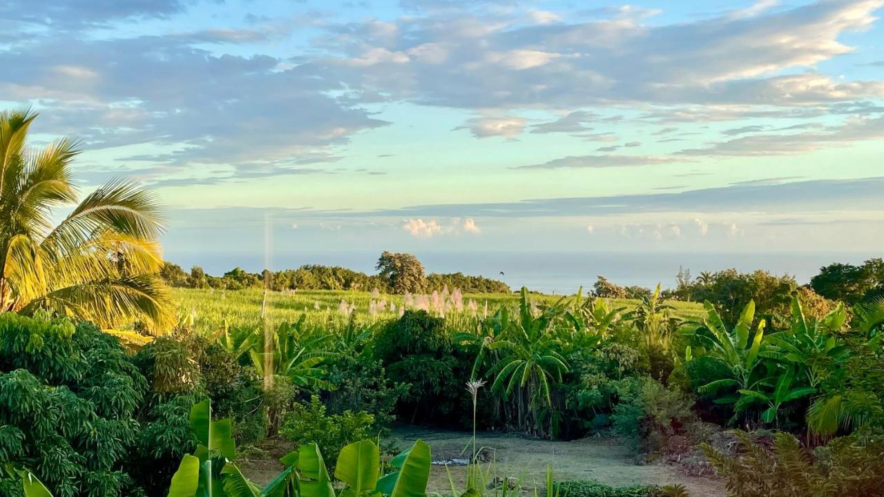 Les Villas De La Ligne Des Bambous Ravine des Cabris Exteriör bild